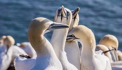 澳门新葡京娱乐城-九游体育——开启你的极致运动体验